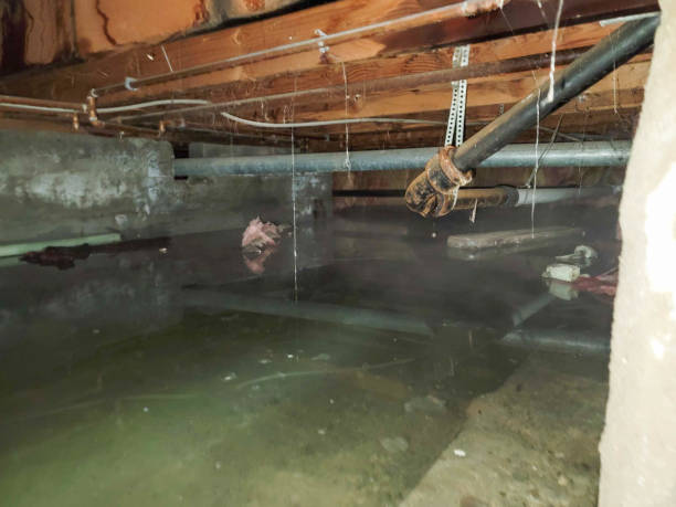 Best 24-hour water damage restoration  in Kure Beach, NC