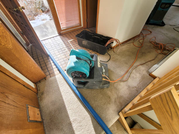 Best Water damage restoration near me  in Kure Beach, NC