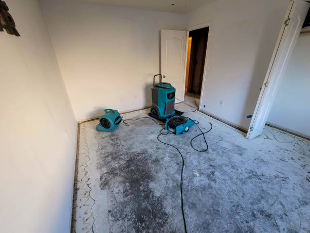 Best Fire Damage Restoration  in Kure Beach, NC