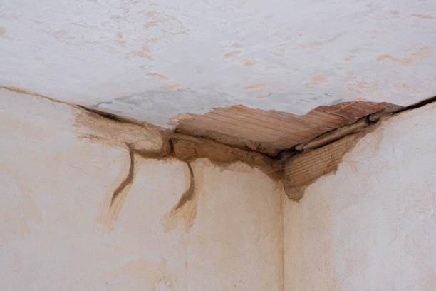 Best Flooded house restoration  in Kure Beach, NC