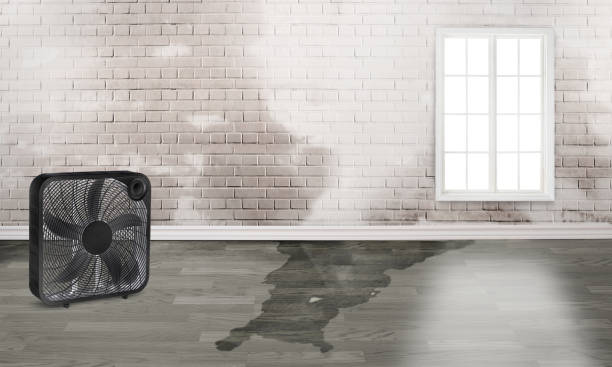 Best Flood restoration services  in Kure Beach, NC