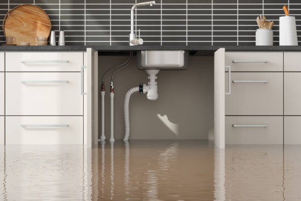 Best Water damage restoration services  in Kure Beach, NC