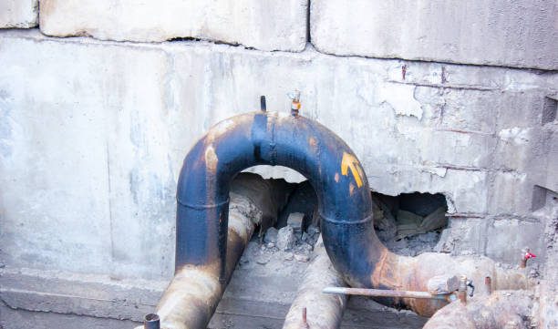 Best Professional water damage repair  in Kure Beach, NC