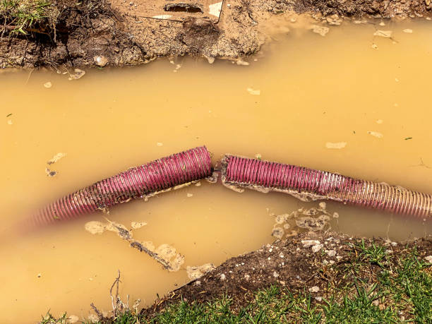 Best Flood restoration services  in Kure Beach, NC
