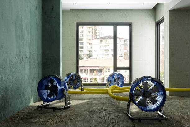Best Mold removal after water damage  in Kure Beach, NC